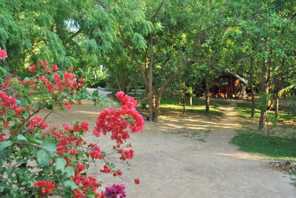 Turtles View Resort Tangalle Ngoại thất bức ảnh